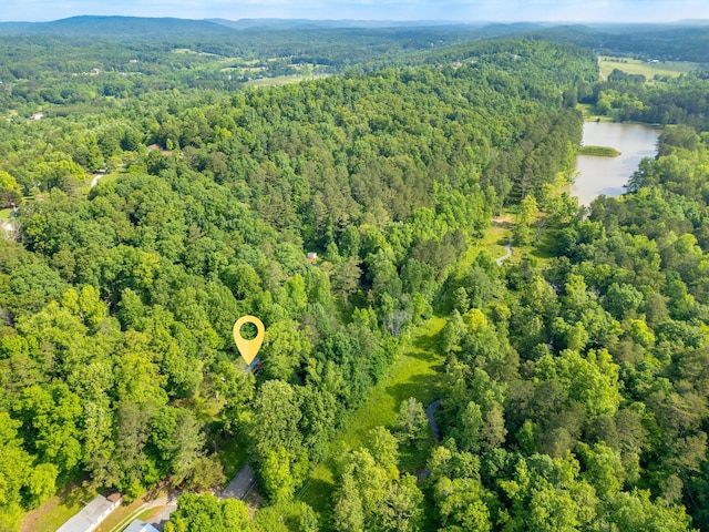 5203 Howardsville Rd, Apison, TN 37302 - aerial view of property and surrounding area with a heavily wooded area and a nearby body of water