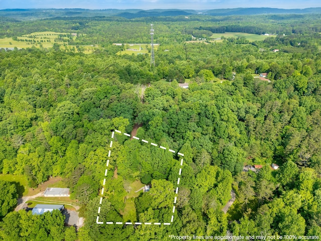5203 Howardsville Rd, Apison, TN 37302 - aerial overview of property's location with a forest and property parcel outlined