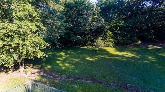 7115 Elmbrook Ln, Harrison, TN 37341 - view of yard