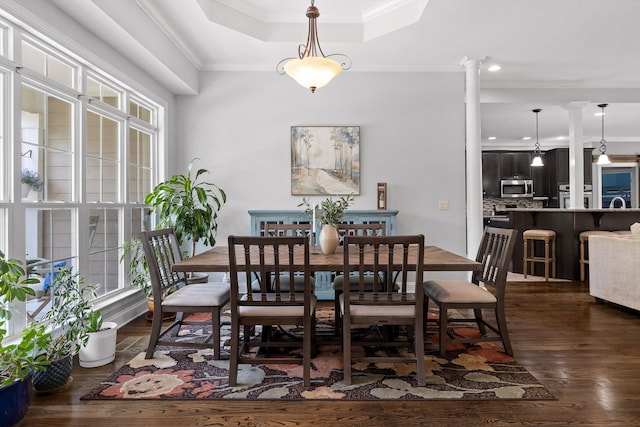 2904 Reflection Ln, Ooltewah, TN 37363 - dining area featuring crown molding, dark wood-style flooring, a raised ceiling, decorative columns, and recessed lighting