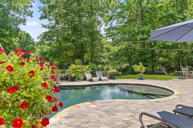 2904 Reflection Ln, Ooltewah, TN 37363 - view of swimming pool featuring a patio area and a playground