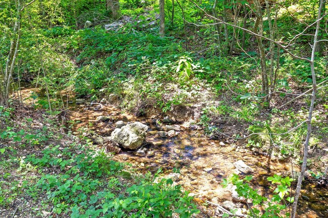 2904 Reflection Ln, Ooltewah, TN 37363 - view of nature
