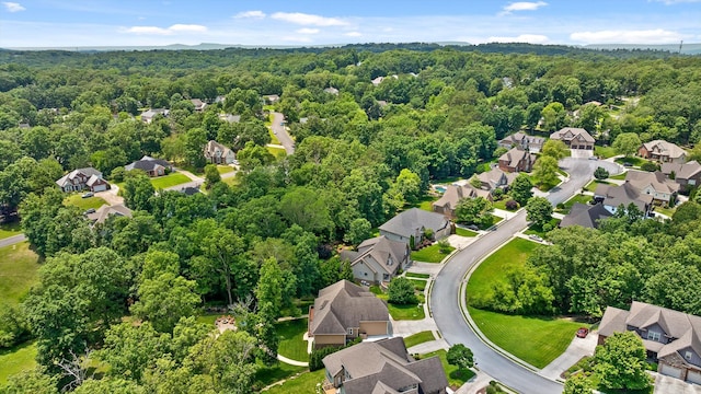2904 Reflection Ln, Ooltewah, TN 37363 - aerial perspective of suburban area with a heavily wooded area