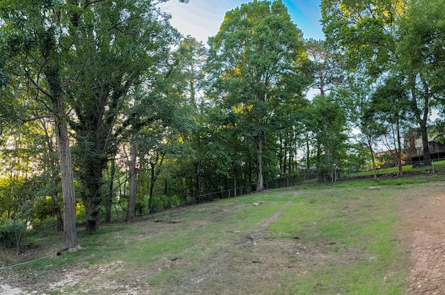 6527 Shallowmar Ln, Hixson, TN 37343 - view of yard
