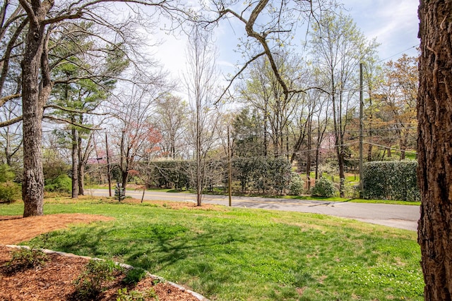504 Fleetwood Dr, Lookout Mountain, TN 37350 - view of grassy yard