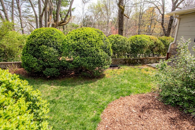 504 Fleetwood Dr, Lookout Mountain, TN 37350 - view of grassy yard