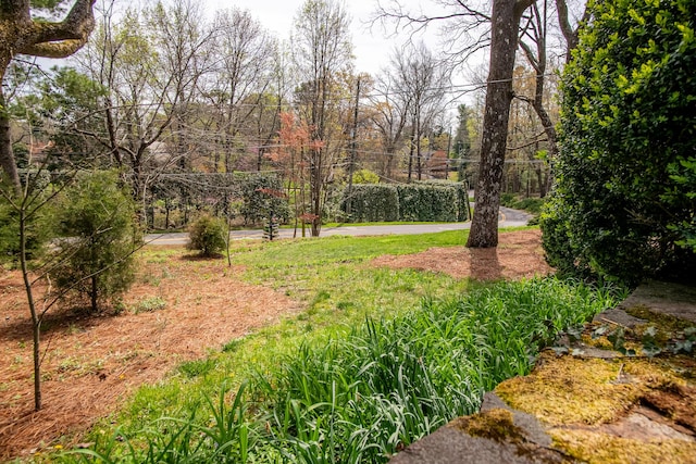 504 Fleetwood Dr, Lookout Mountain, TN 37350 - view of yard