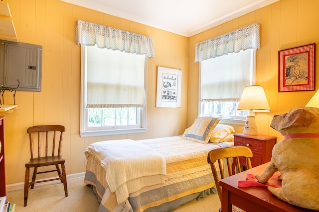 504 Fleetwood Dr, Lookout Mountain, TN 37350 - bedroom with electric panel, multiple windows, ornamental molding, carpet flooring, and baseboards