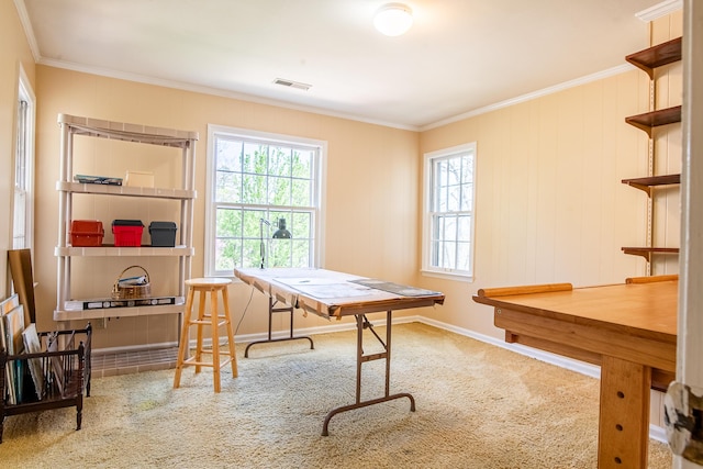 504 Fleetwood Dr, Lookout Mountain, TN 37350 - recreation room with ornamental molding, carpet flooring, and baseboards