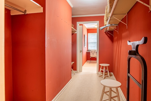 504 Fleetwood Dr, Lookout Mountain, TN 37350 - spacious closet with carpet floors