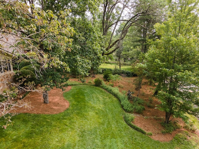 504 Fleetwood Dr, Lookout Mountain, TN 37350 - view of grassy yard