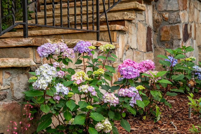 504 Fleetwood Dr, Lookout Mountain, TN 37350 - exterior view