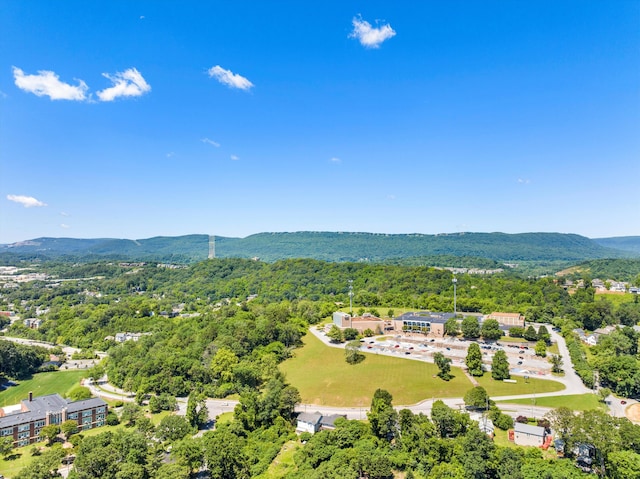 1355 Carrington Way, Chattanooga, TN 37405 - aerial view of a heavily wooded area and a mountainous background