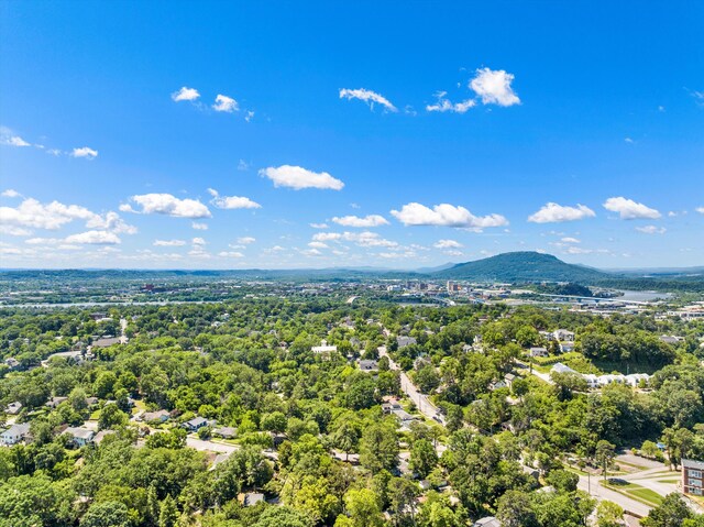1355 Carrington Way, Chattanooga, TN 37405 - drone / aerial view of mountains