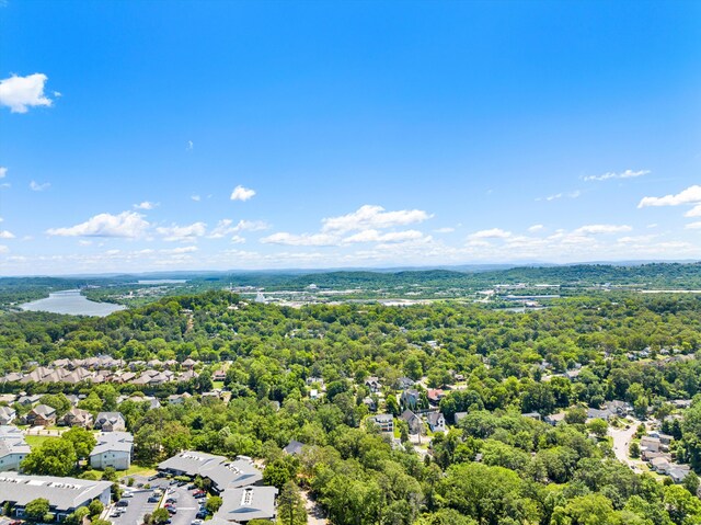 1355 Carrington Way, Chattanooga, TN 37405 - aerial view of residential area