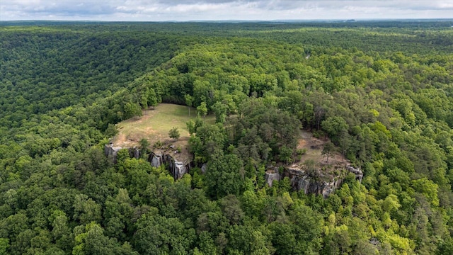 110 Falls Ln, Spencer, TN 38585 - aerial view of property's location featuring a forest