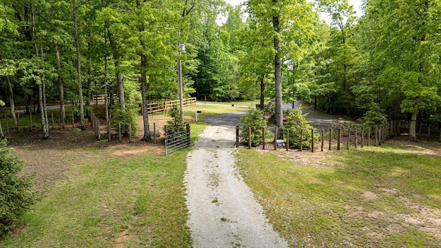 110 Falls Ln, Spencer, TN 38585 - view of street with a forest view