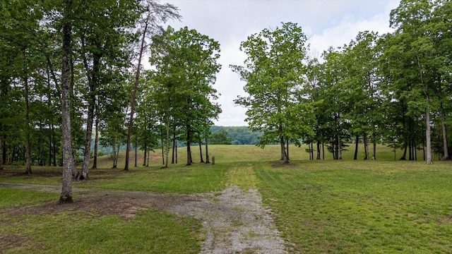 110 Falls Ln, Spencer, TN 38585 - view of green lawn with driveway