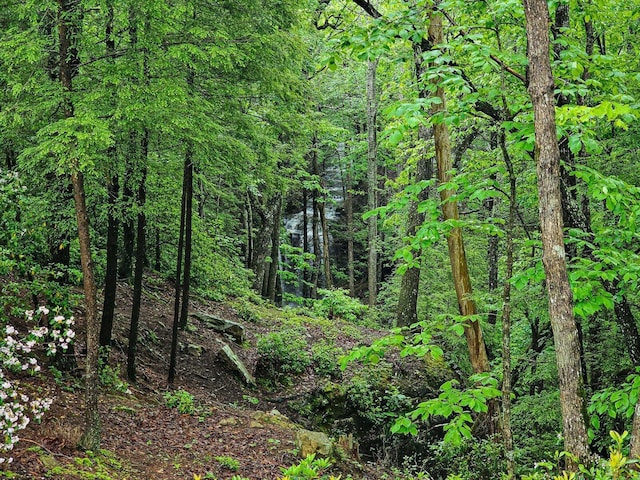 110 Falls Ln, Spencer, TN 38585 - view of tree filled area