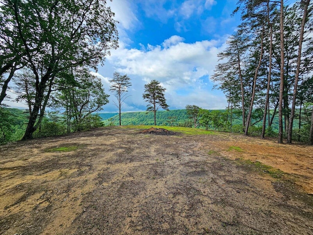 110 Falls Ln, Spencer, TN 38585 - view of yard