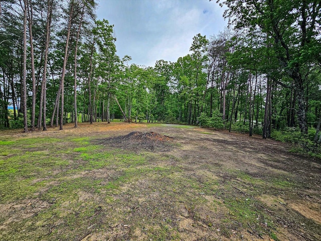 110 Falls Ln, Spencer, TN 38585 - view of yard featuring a forest view