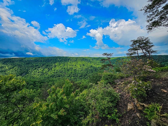 110 Falls Ln, Spencer, TN 38585 - view of woods