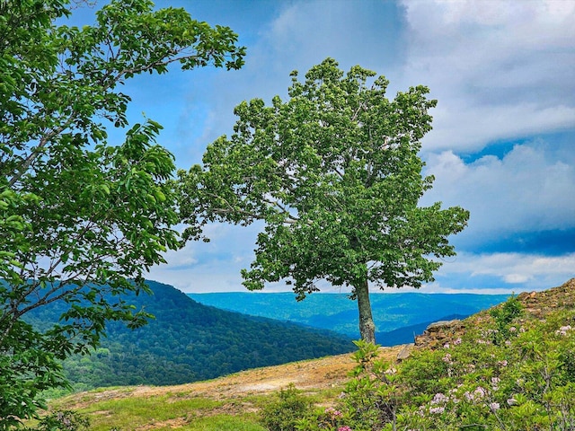 110 Falls Ln, Spencer, TN 38585 - view of mountain background