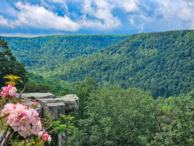110 Falls Ln, Spencer, TN 38585 - mountain view with a heavily wooded area