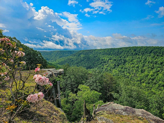 110 Falls Ln, Spencer, TN 38585 - mountain view featuring a heavily wooded area