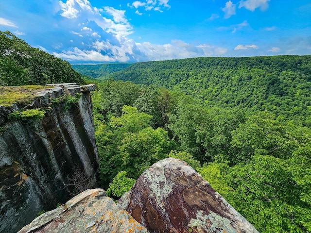 110 Falls Ln, Spencer, TN 38585 - view of mountain background featuring a forest