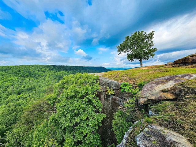 110 Falls Ln, Spencer, TN 38585 - water view with a forest