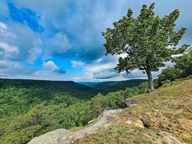 110 Falls Ln, Spencer, TN 38585 - view of mountain backdrop with a heavily wooded area