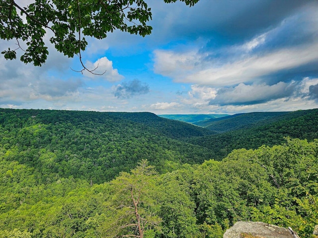 110 Falls Ln, Spencer, TN 38585 - mountain view with a forest