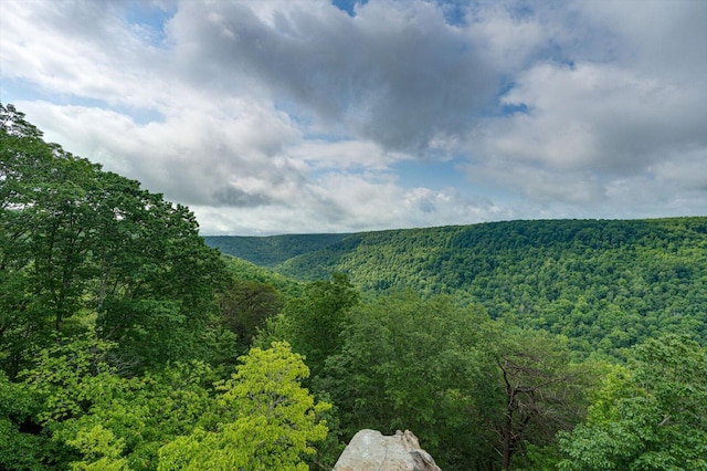 110 Falls Ln, Spencer, TN 38585 - view of mountain background with a forest