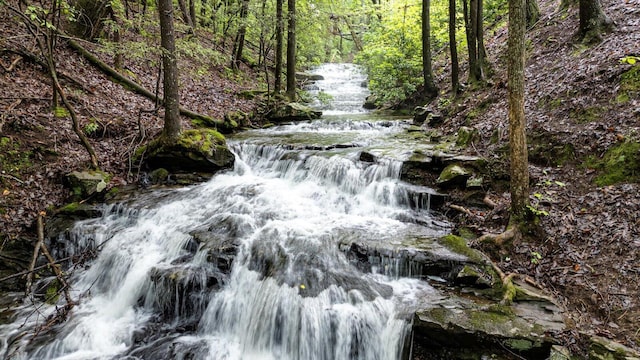 110 Falls Ln, Spencer, TN 38585 - view of nature