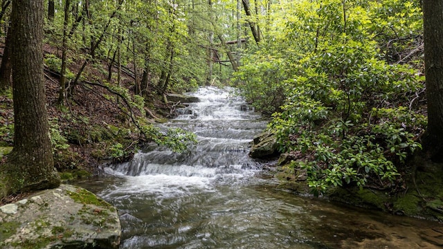 110 Falls Ln, Spencer, TN 38585 - view of property's community with a wooded view