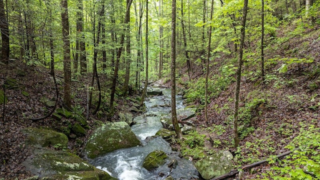 110 Falls Ln, Spencer, TN 38585 - view of tree filled area