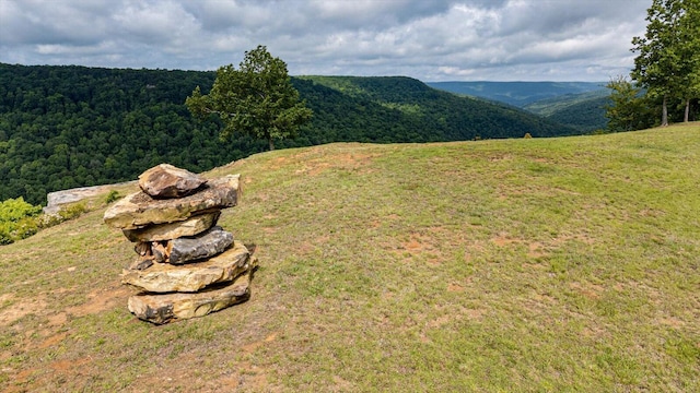 110 Falls Ln, Spencer, TN 38585 - mountain view with a heavily wooded area
