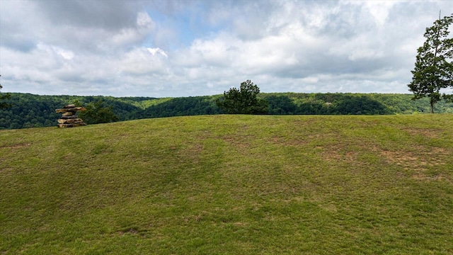 110 Falls Ln, Spencer, TN 38585 - view of grassy yard featuring a view of rural / pastoral area and a view of trees