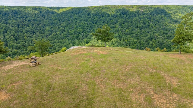 110 Falls Ln, Spencer, TN 38585 - aerial view of a forest