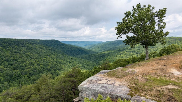 110 Falls Ln, Spencer, TN 38585 - view of mountain background featuring a heavily wooded area