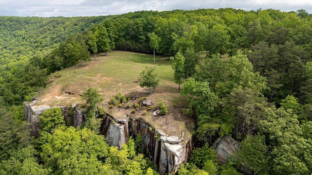 110 Falls Ln, Spencer, TN 38585 - aerial view of property's location with a heavily wooded area