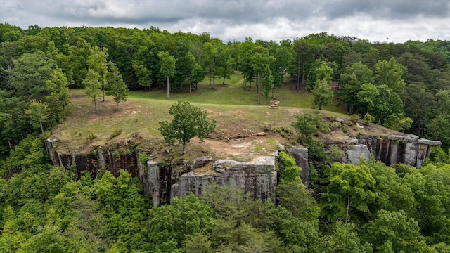 110 Falls Ln, Spencer, TN 38585 - aerial view of property and surrounding area