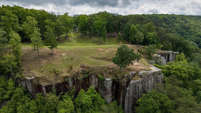 110 Falls Ln, Spencer, TN 38585 - view of property location with a heavily wooded area