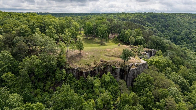 110 Falls Ln, Spencer, TN 38585 - aerial view of property's location with a heavily wooded area