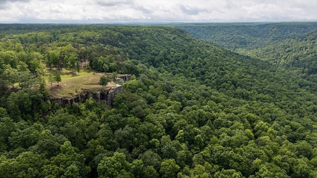 110 Falls Ln, Spencer, TN 38585 - bird's eye view of a heavily wooded area
