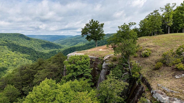 110 Falls Ln, Spencer, TN 38585 - view of mountain background with a heavily wooded area