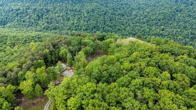 110 Falls Ln, Spencer, TN 38585 - drone / aerial view of a heavily wooded area