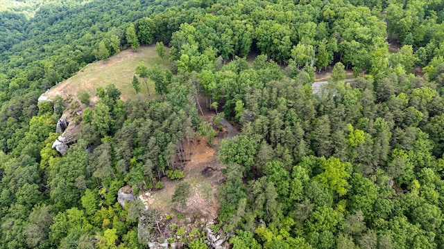 110 Falls Ln, Spencer, TN 38585 - view of property location featuring a heavily wooded area