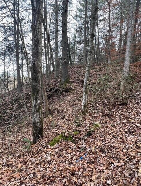 288 Frost Bottom Rd, Oliver Springs, TN 37840